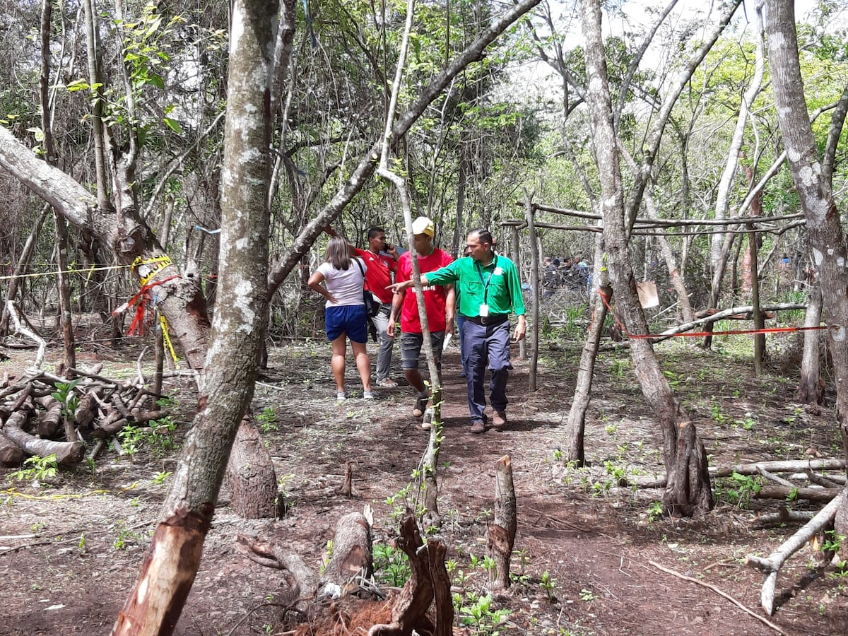 Invasores han arrasado con vegetación en Puerto Caimito