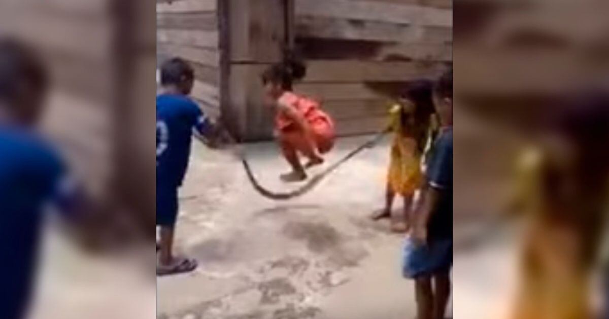 ¡OMG! Niños juegan a saltar la cuerda con una serpiente | Video