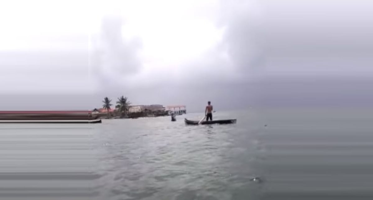 Gunas asustados. Presencian tiburones devorando una ballena