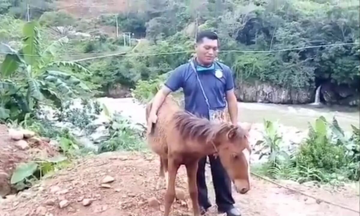 Cerro se hunde en la comarca Ngäbe Buglé 