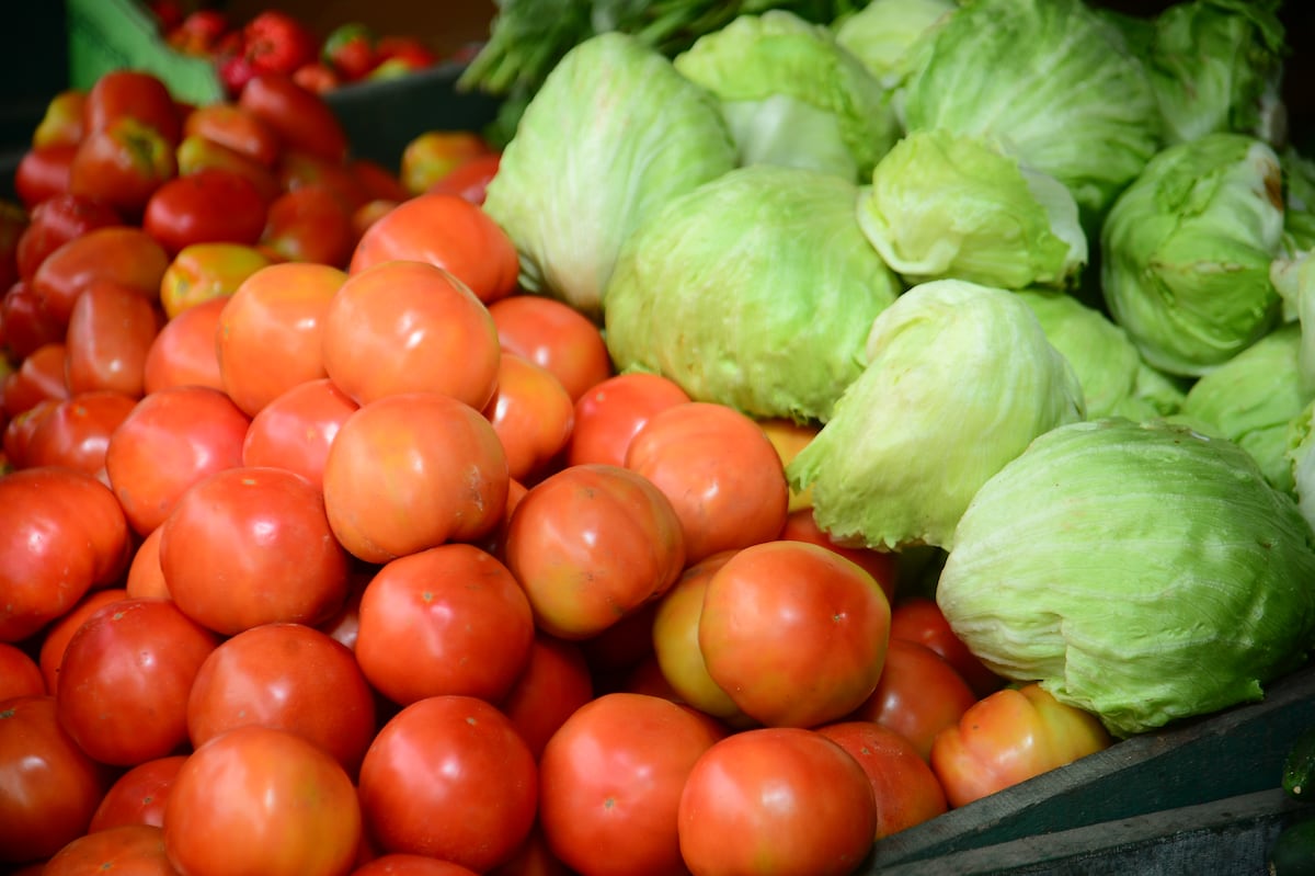 Alimentos para dejar de fumar. Más de 9 mil panameños mueren anualmente por enfermedades relacionadas al tabaquismo 