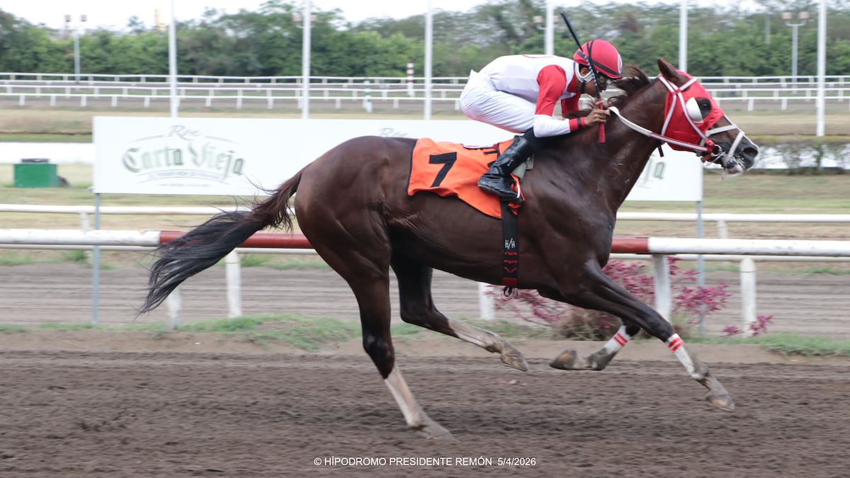 Hipódromo Presidente Remón activa tres días de pura adrenalina