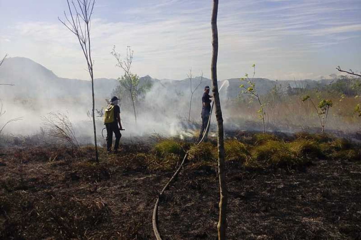 Fuego arrasa con 40 hectáreas en Coclé