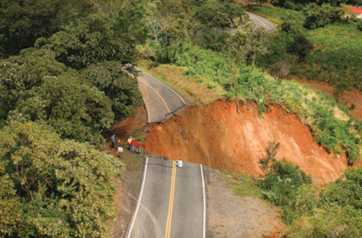 MiAmbiente reglamenta limpieza y disposición de árboles caídos por desastre ambiental en varias provincias 