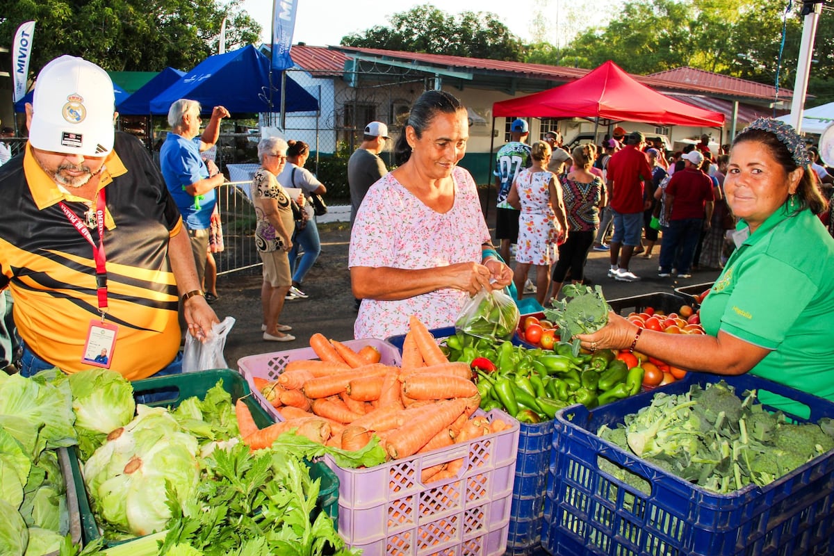 Vuelven las agroferias: mira dónde comprar barato esta semana