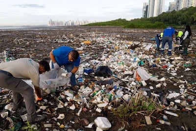 Bahía de Panamá busca renacer: Alcaldía inicia ambiciosa limpieza para recuperar sus ríos y ecosistemas