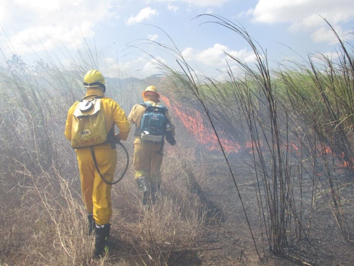 En incremento. Los incendios de masa vegetal en Panamá