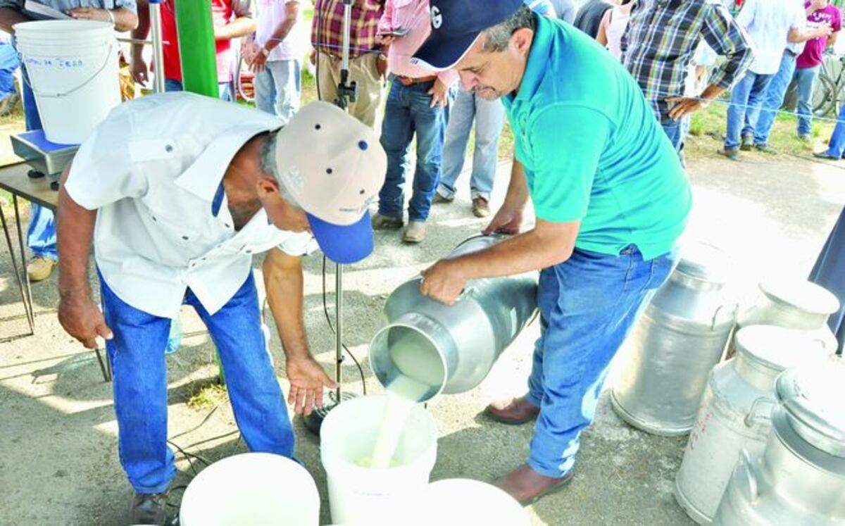 Productores de leche solicitan diálogo con autoridades para mantener programa escolar