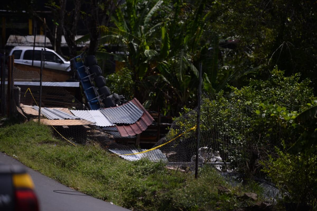 Auto cae en el patio de una casa mientras todos dormían y asesinan al ...