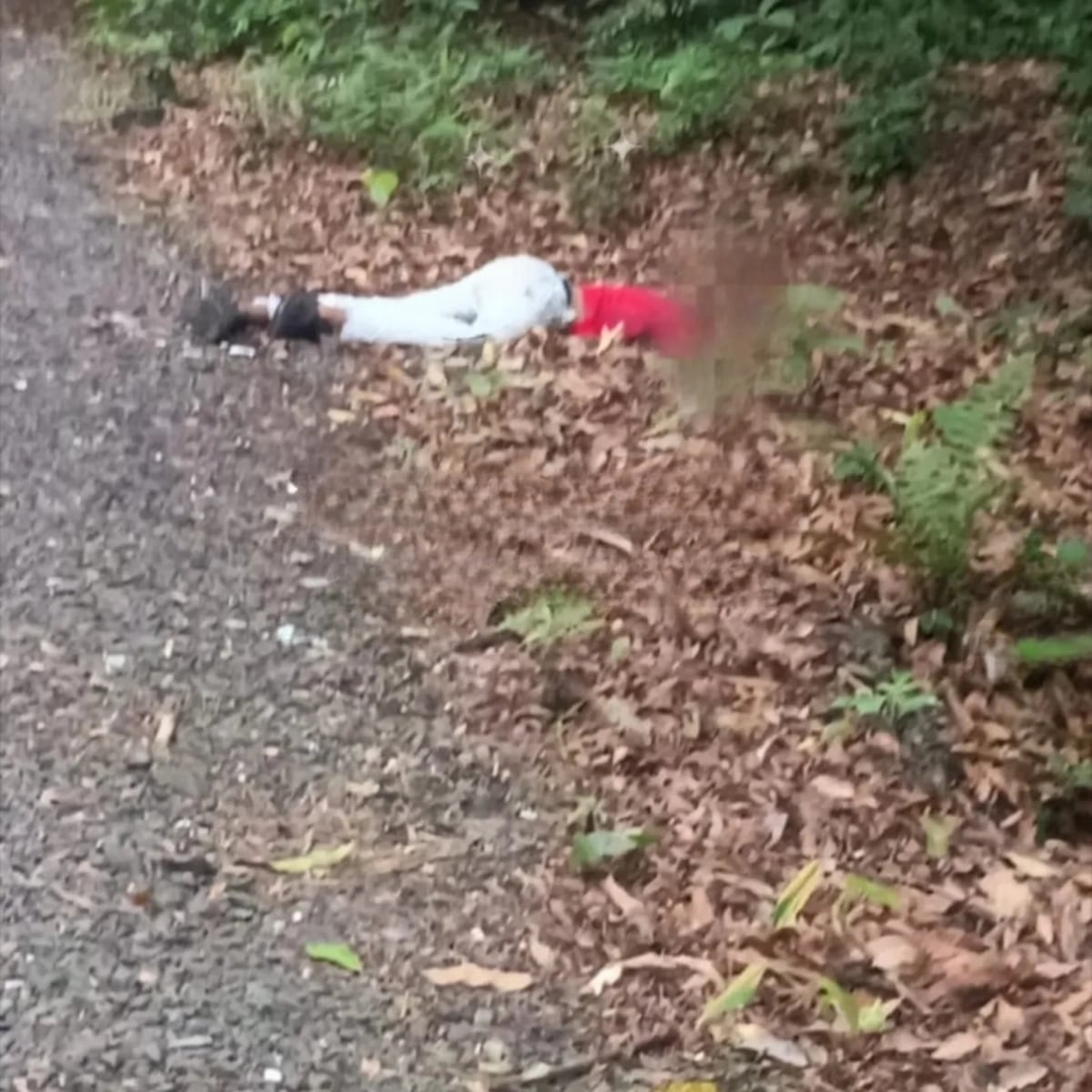 PANAMÁ MACABRO. Hallazgo en La Esperanza, Chilibre: encuentran dos cuerpos atados dentro de una casa de zinc