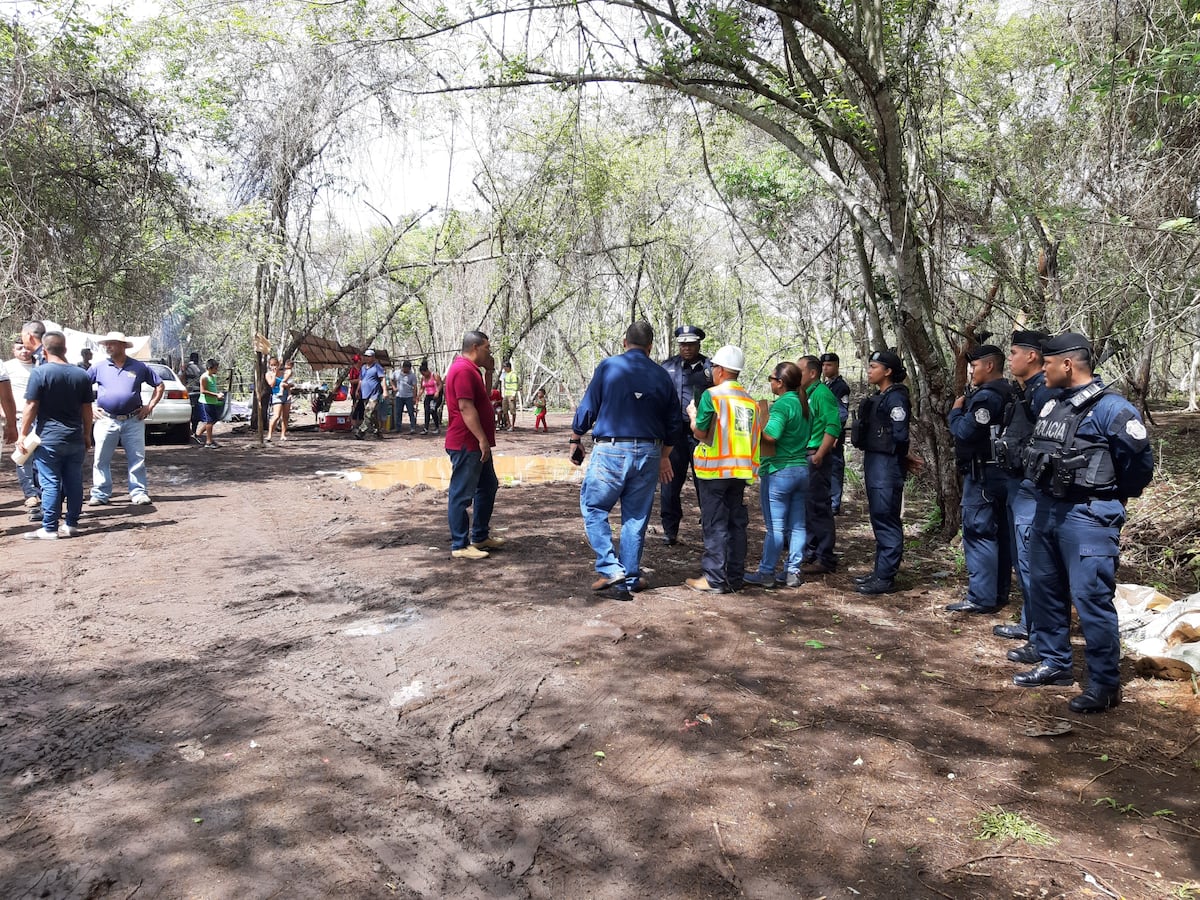 Invasores han arrasado con vegetación en Puerto Caimito