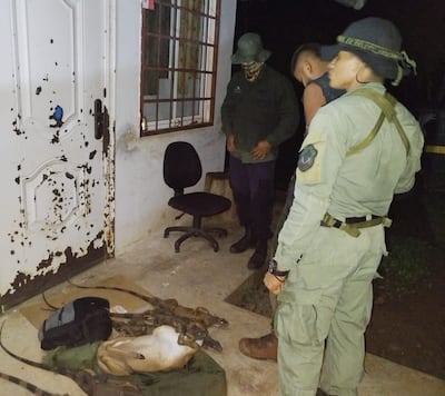 Capturan a hombre con iguanas embarazadas y un venado muerto en el Polígono de Tiro Emperador