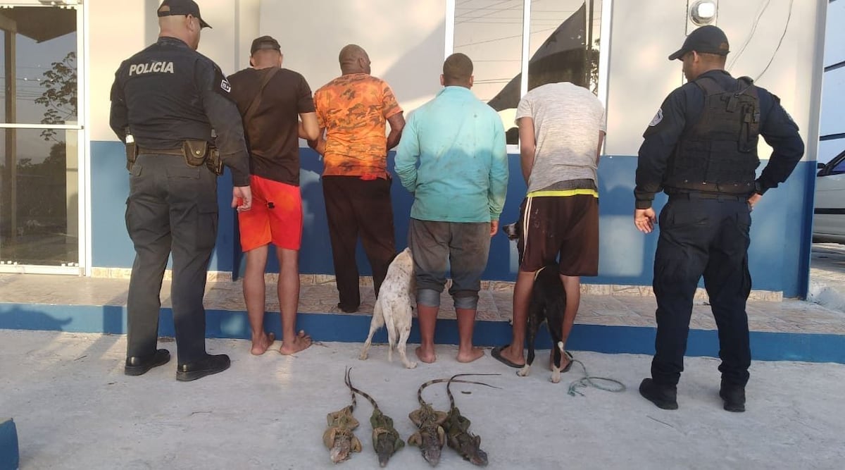 Viral: La aprehensión de cuatro hombres junto a dos perros en Pacora por caza ilegal de iguanas