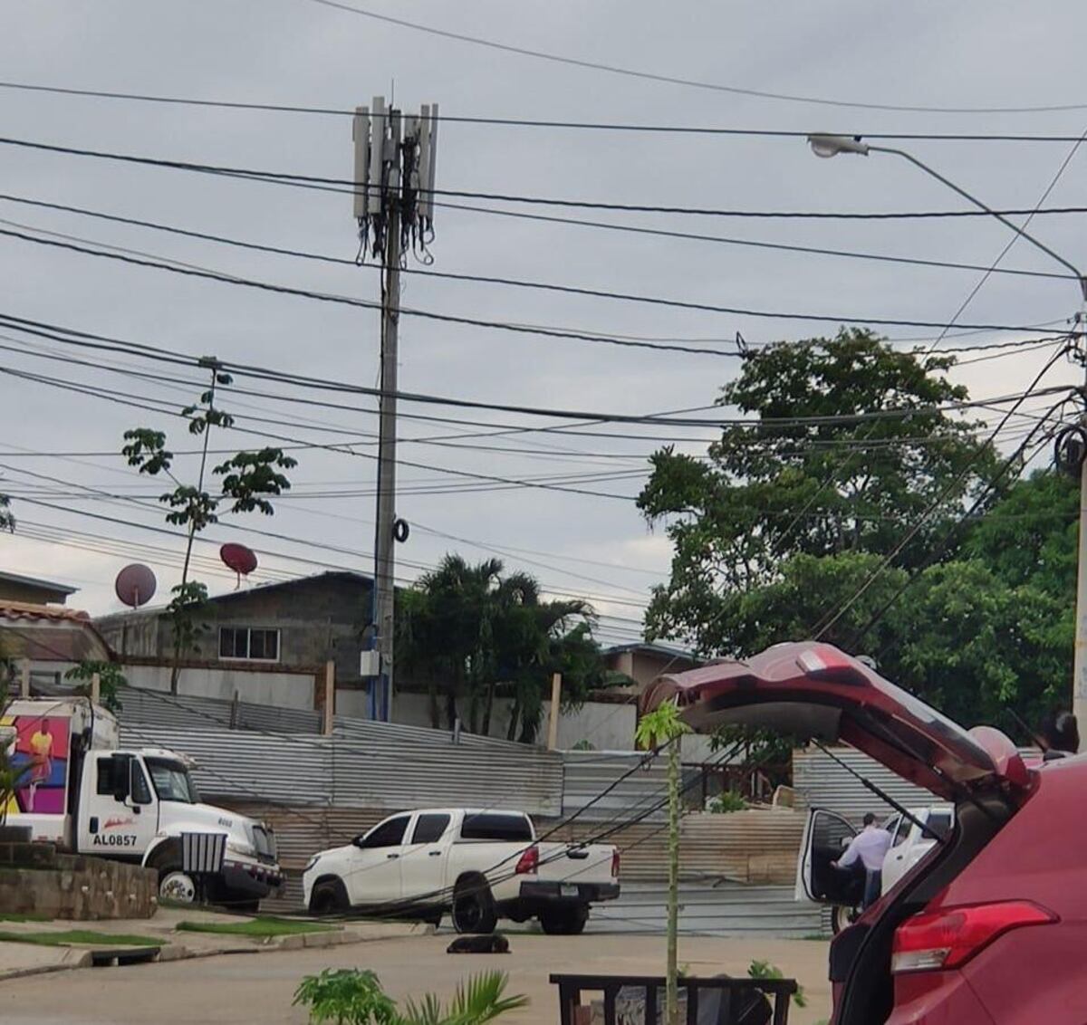 Tragedia. Camión golpeó poste de luz y le cayó encima a recolector de basura. Video