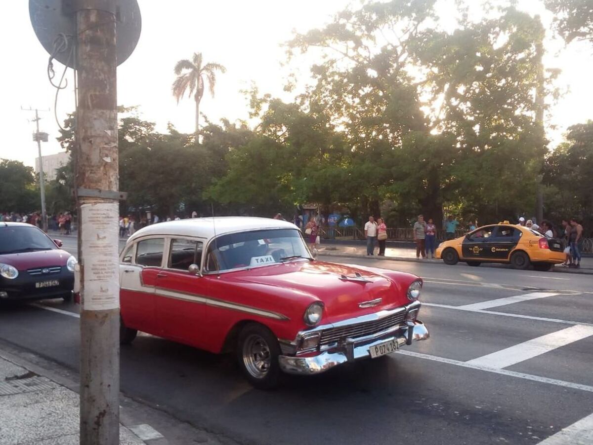 Dictadura con sabor a ‘amor fácil’, res y ron