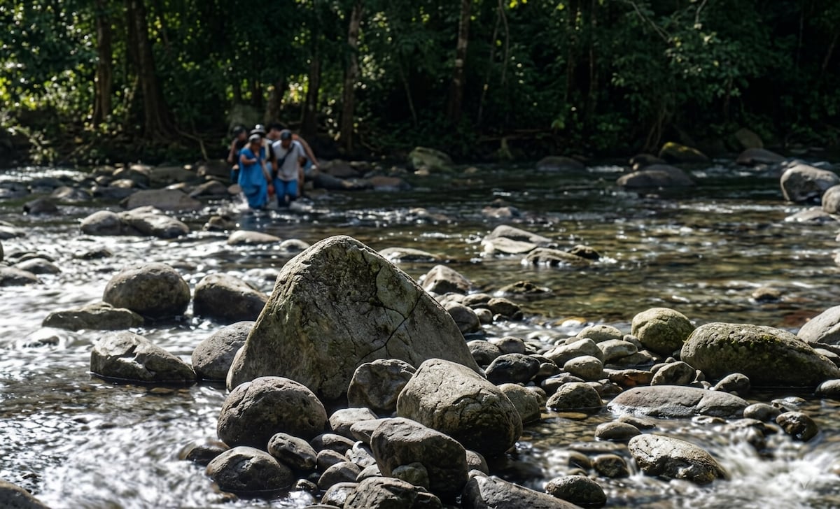 A lado de una quebrada en Chiriquí hallan muerto a hombre de 61 años