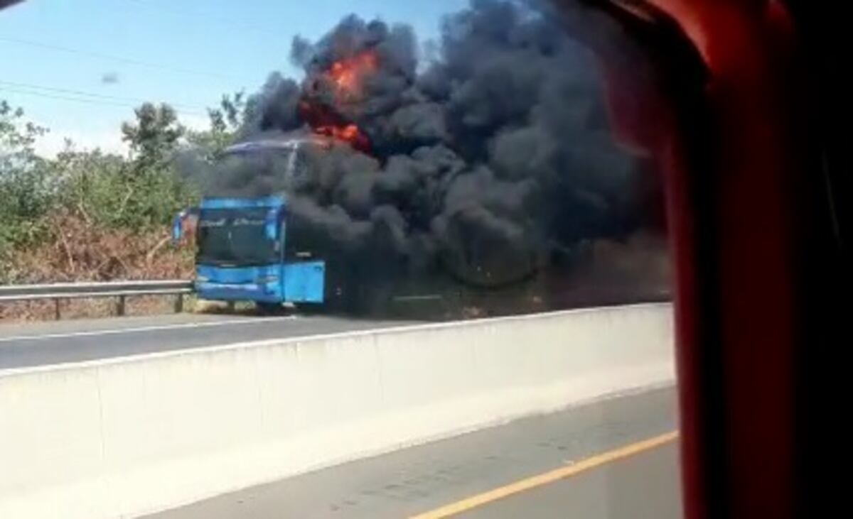 Bus de ruta Panamá David se incendia en plena vía Panamericana. Video