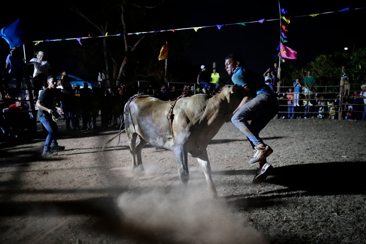 Fuerza y rapidez para montar toros, atracción del Festival Folclórico Nacional de La Mitra