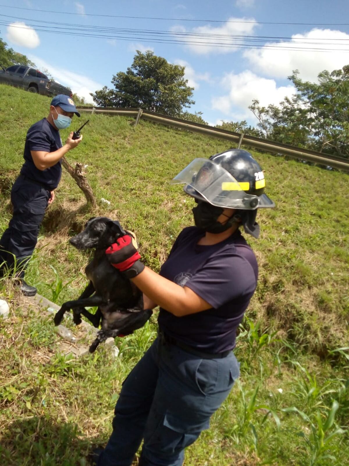 Bomberos de La Chorrera rescatan a perro que estaba a punto de morir ahogado dentro de un alcantarillado 