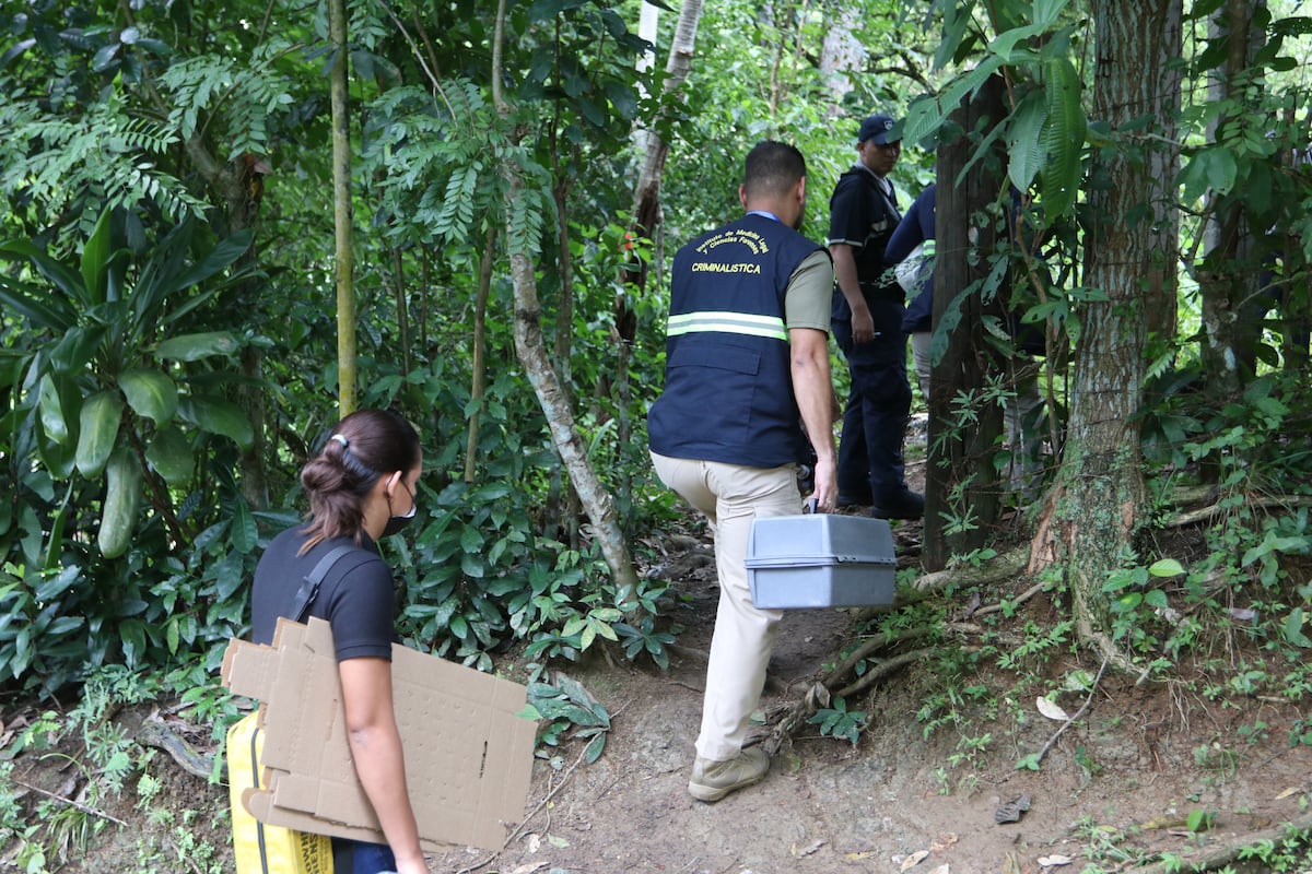 Asesinan a adulto mayor en Los Lotes de Pacora