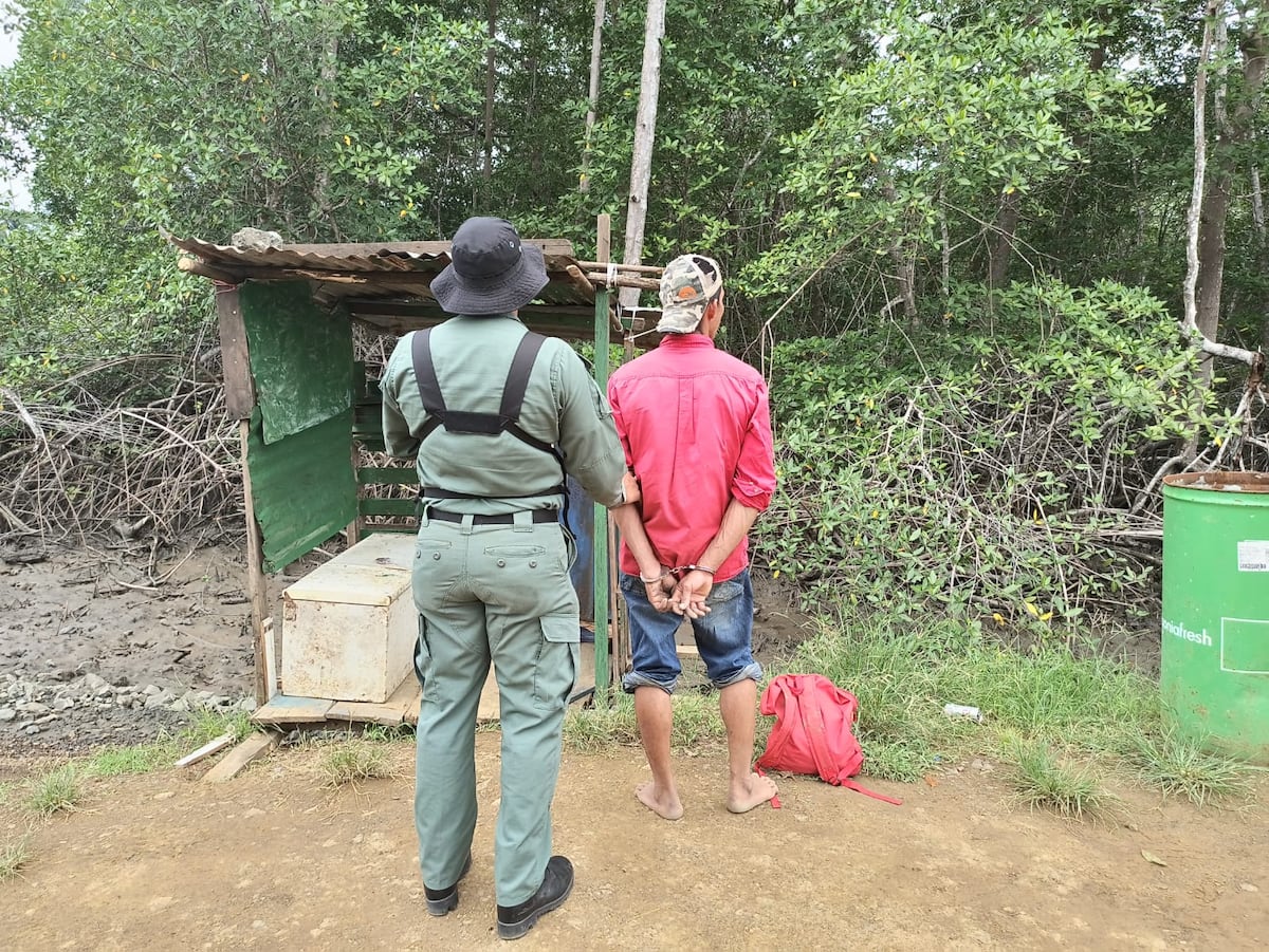 Detienen a hombre con 180 huevos de tortuga Lora en Las Tablas