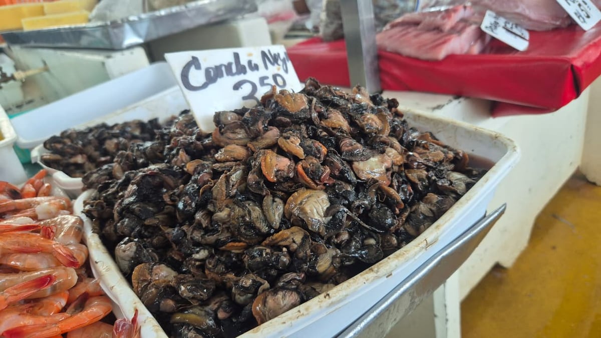 Precios bajos y pocas ventas. Con esperanza en la Semana Santa, el Mercado de Mariscos ajusta precios para la Cuaresma