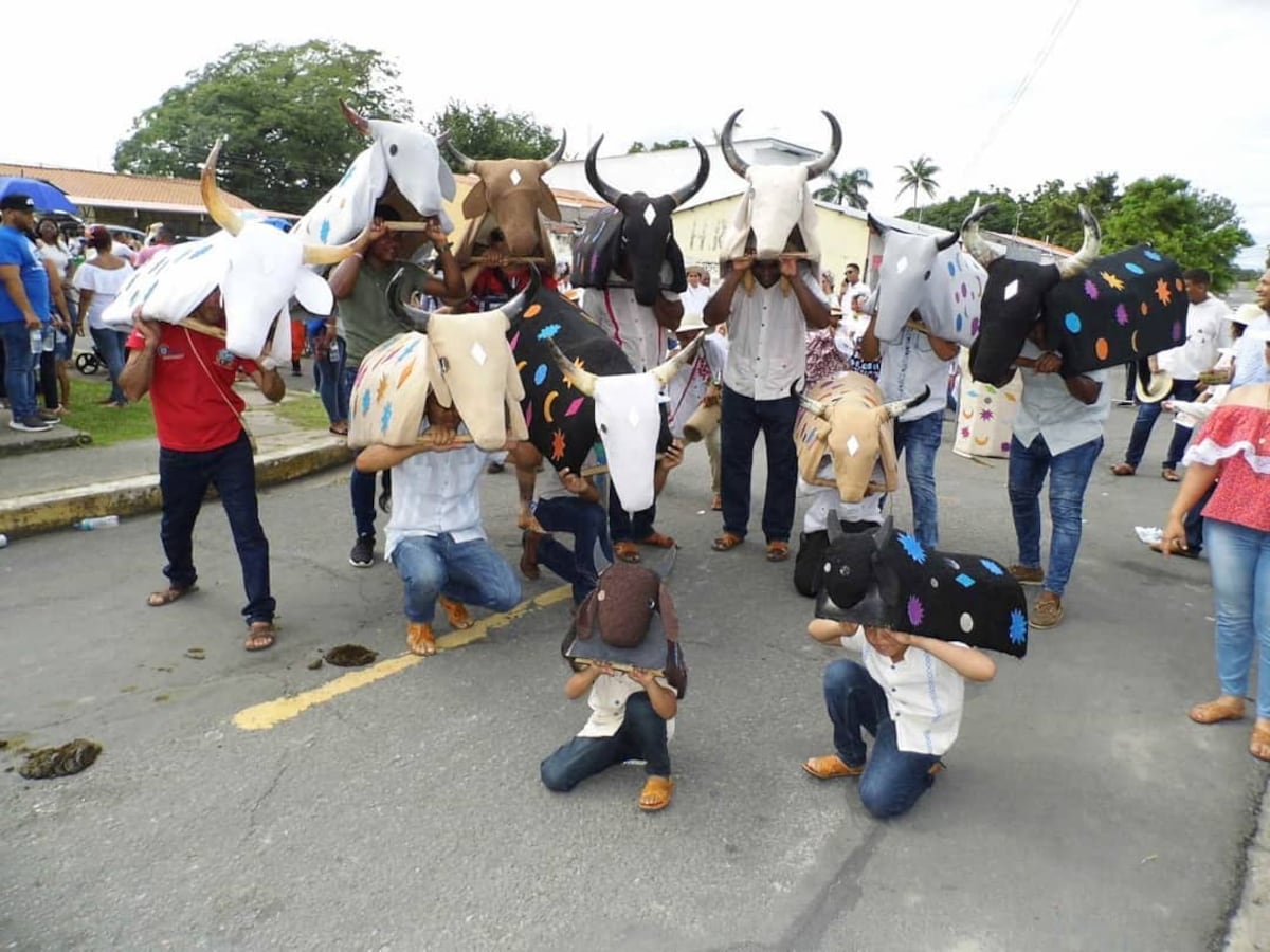Nace el patronato que impulsará el Festival del Toro Guapo en Antón