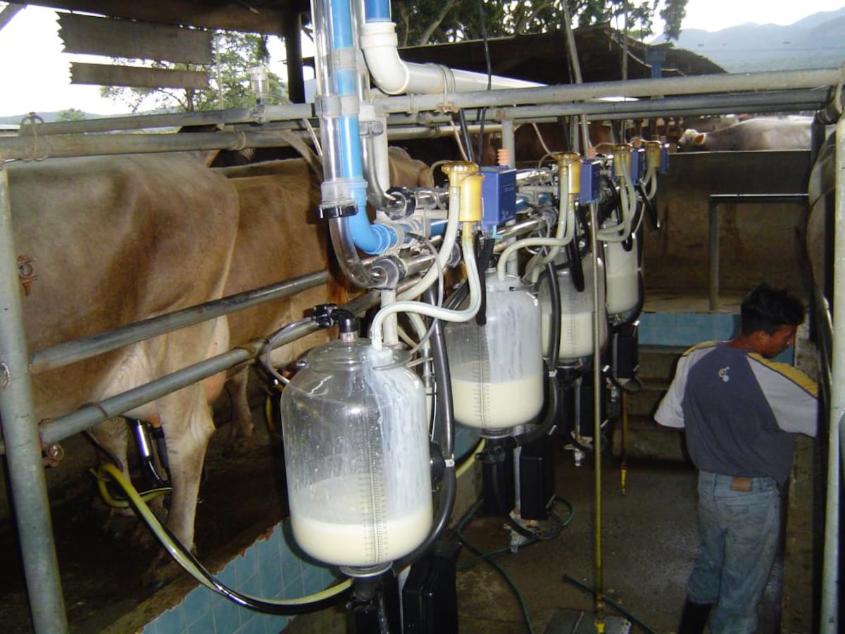 La leche es uno de los productos que más ha aumentado en la canasta básica