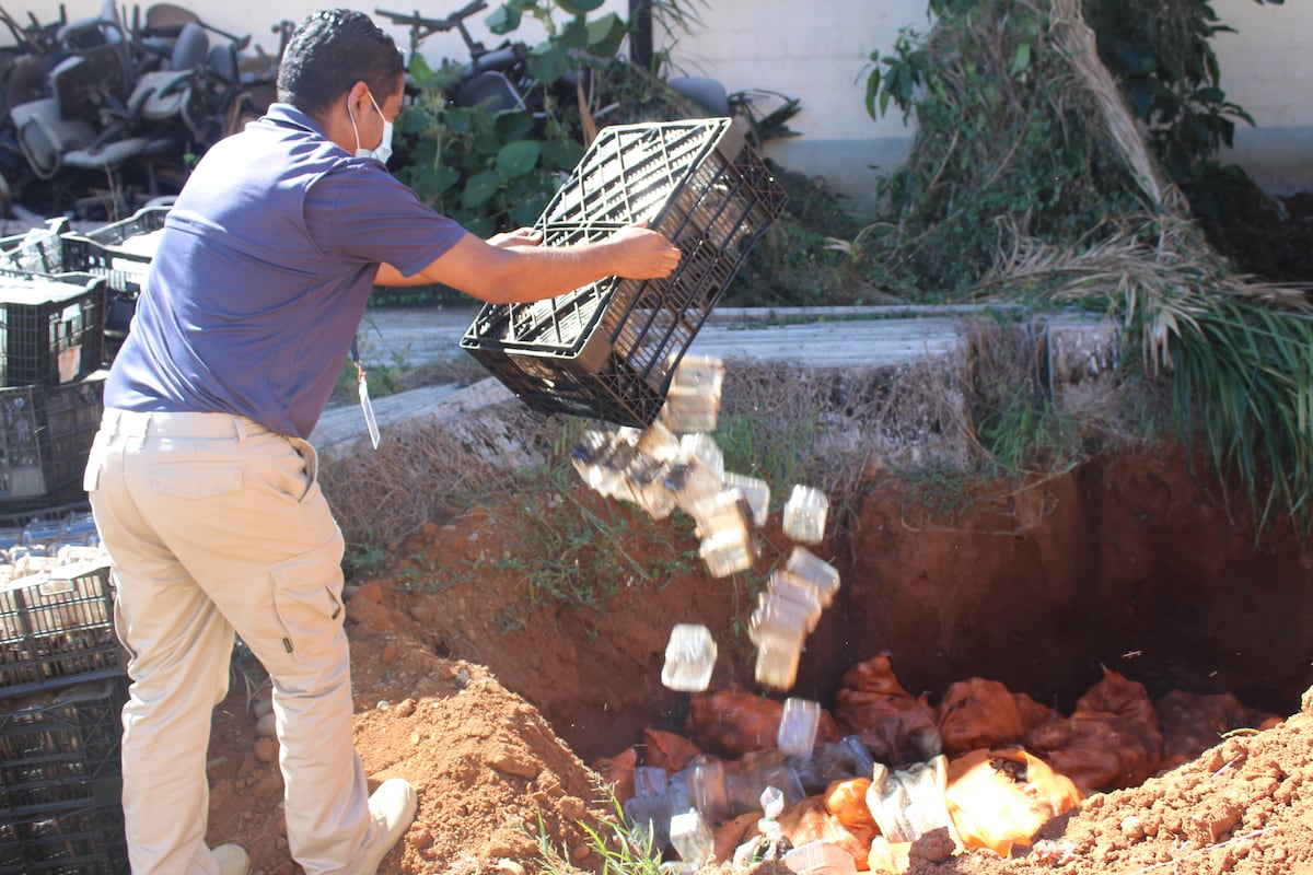 Aduanas de Chiriquí dona mangueras al Idiap y destruye frutas podridas para evitar riesgos