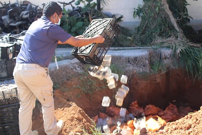 Aduanas de Chiriquí dona mangueras al Idiap y destruye frutas podridas para evitar riesgos