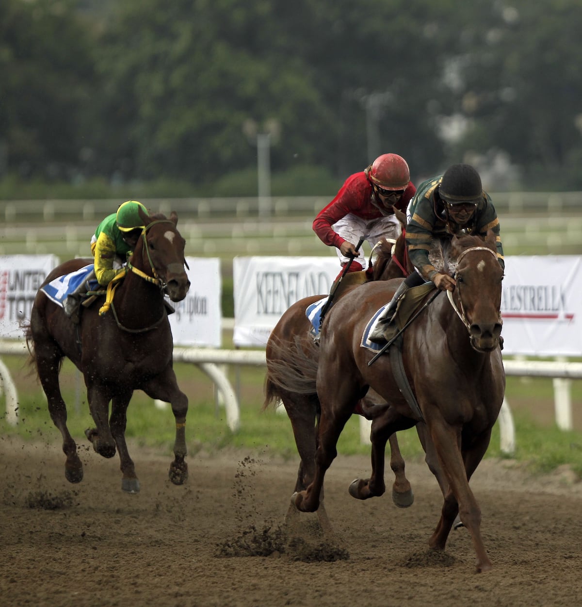 Arrancan las carreras en el hipódromo Presidente Remón. Te contamos los pronósticos del sábado