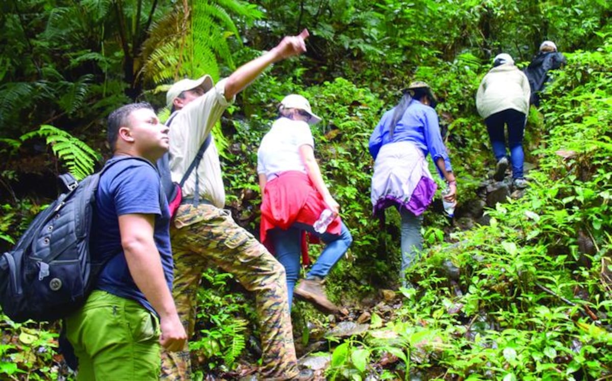 Investigan viviendas y prácticas ilegales en sendero