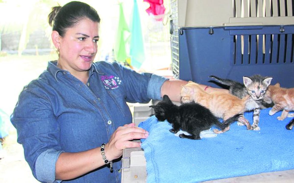 Mauren Portilla cuida a los animales cual hijos 