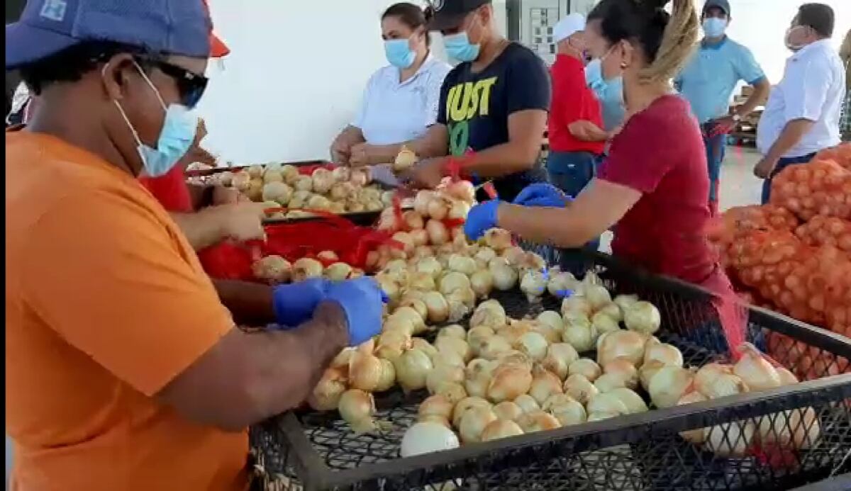 El precio que debe pagar por la cebolla 