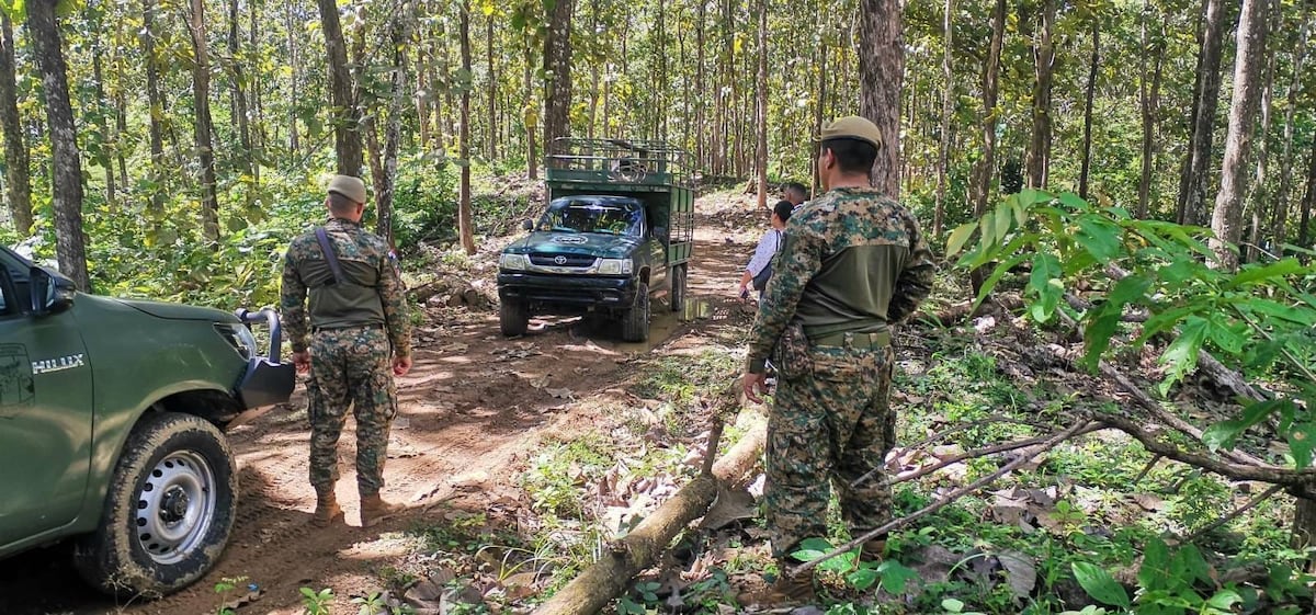 Capturados por robo de ganado en Darién