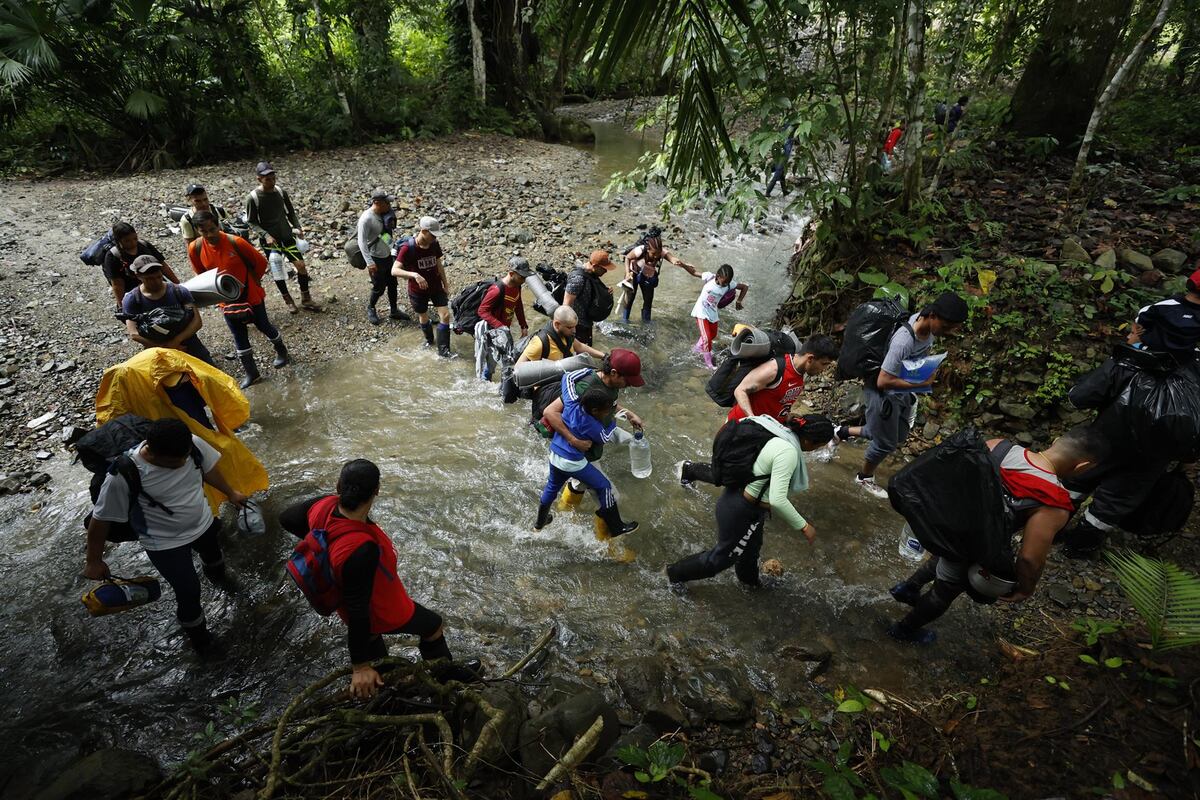 Impacto de las migraciones irregulares en selva de Darién está en la mira de las autoridades