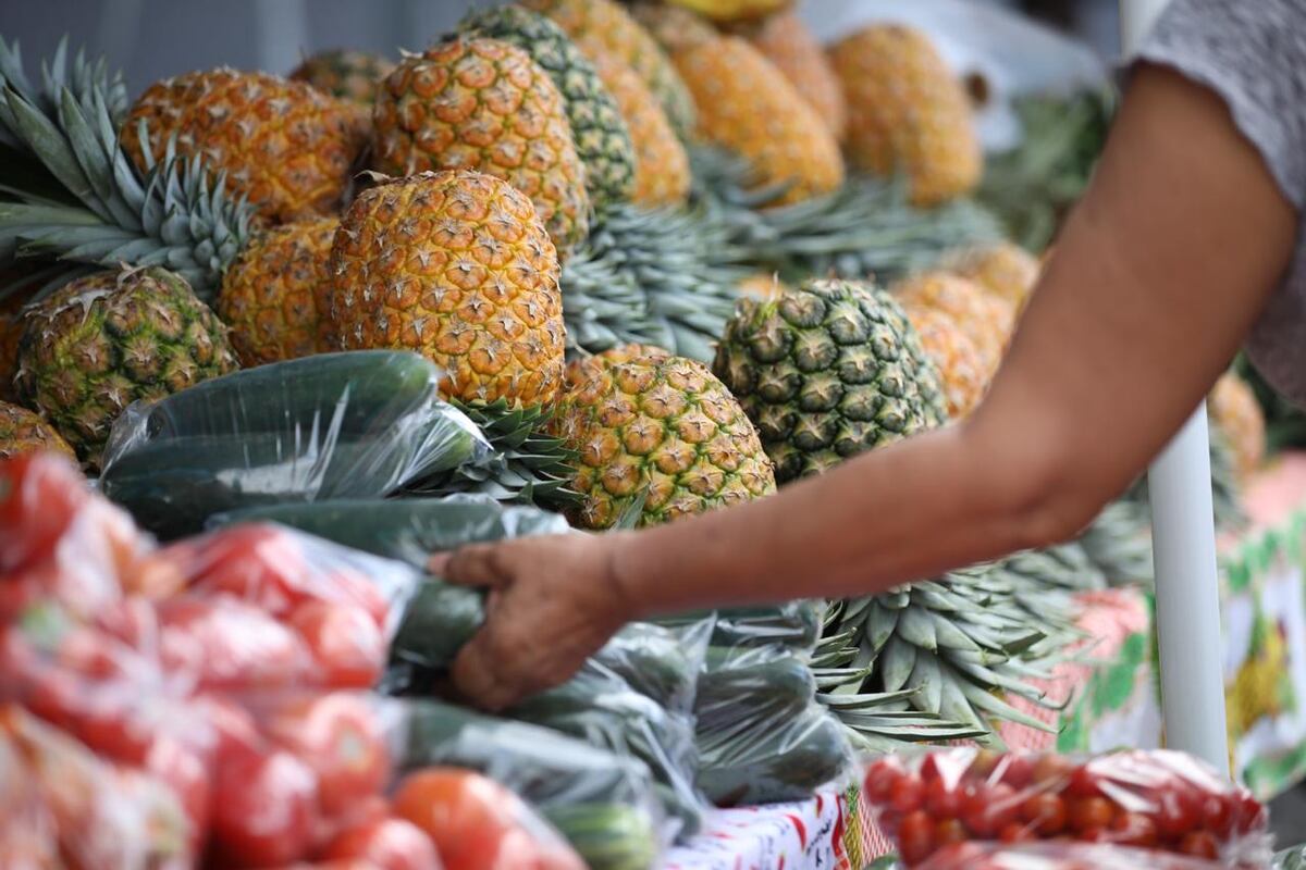 Ahora desde un celular o computadora podrás ver los alimentos que vende Merca Panamá