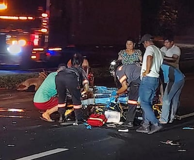 ¡Qué dolor! Hombre y su caballo murieron atropellados por un articulado en Veraguas 