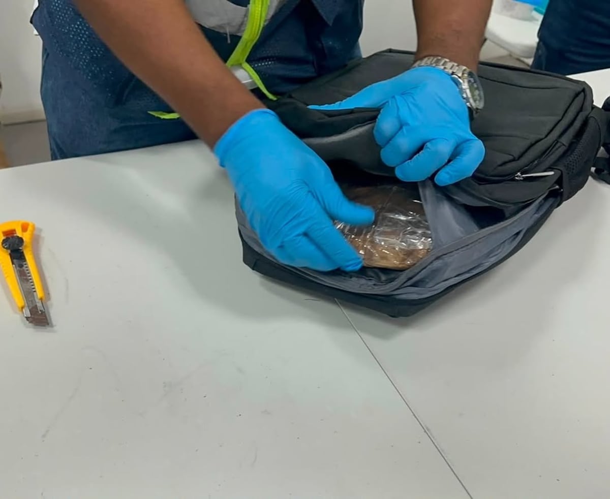 Alerta Aeropuerto: perro K-9 descubre más de 10 kilos de presunta droga ocultos en maleta de pasajero en Tocumen