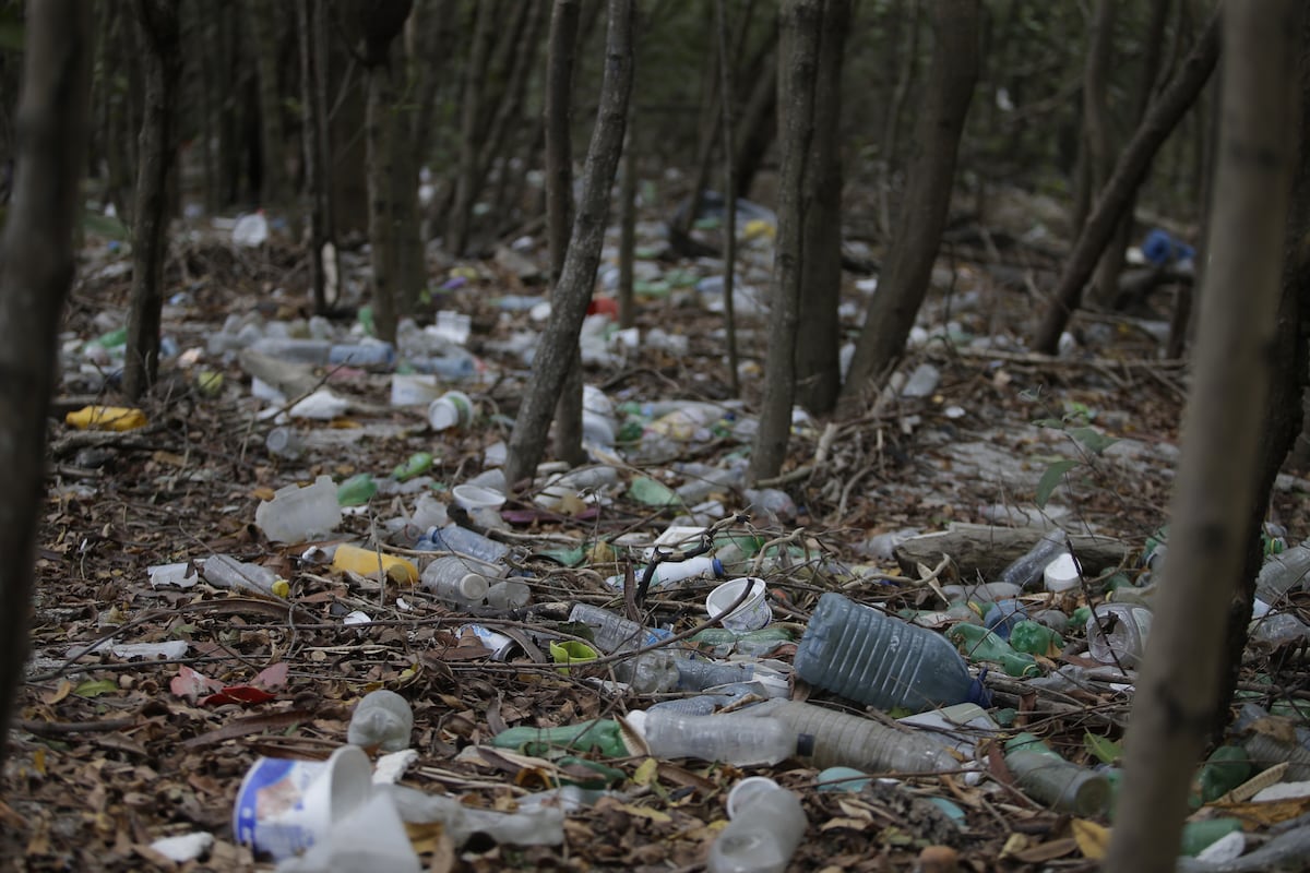 Se fueron a recoger desechos plásticos en Panamá Viejo