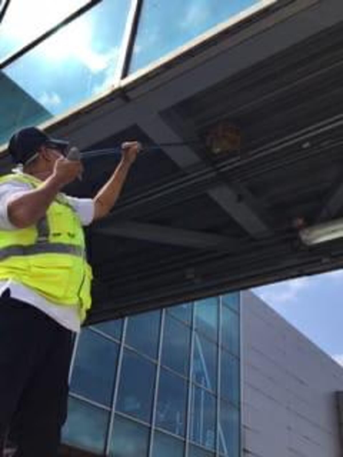 Aeropuerto de Tocumen redobla controles para que las especies silvestres no lleguen a las áreas operativas y pistas