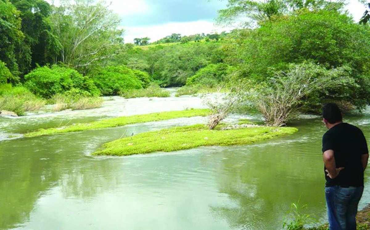 Inició el juicio por contaminación del río La Villa