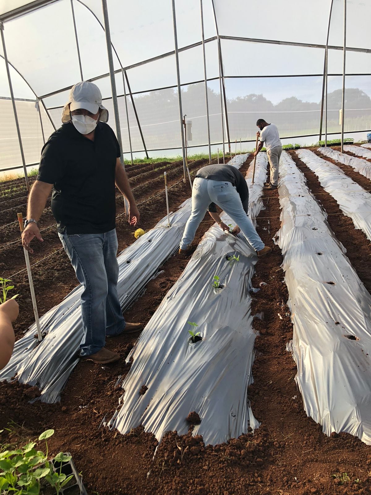 Idiap instala casa de vegetación para la protección de cultivos en El Ejido