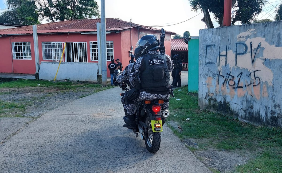 Policía se mantiene en diligencias en donde han recuperado armas de fuego en distintos sitios