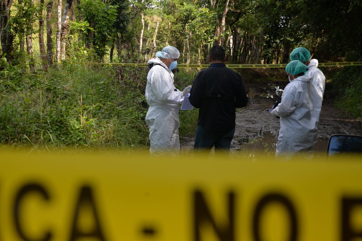 Lo encuentran sin brazos y sin piernas en San Carlos