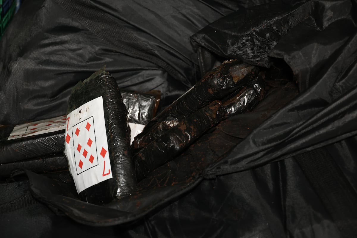 ¿Es el motivo de la ola de muertes violentas? Cargamentos de 2 mil kilos de droga ‘fantasma’ en puertos de Panamá apuntan a posible vínculo con homicidios
