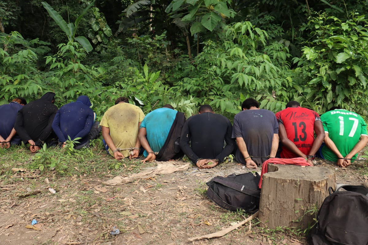 El oro de la muerte: Desmantelan campamento minero en la frontera