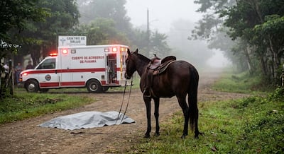 Adulto mayor pierde la vida luego de caer de un caballo en La Concepción
