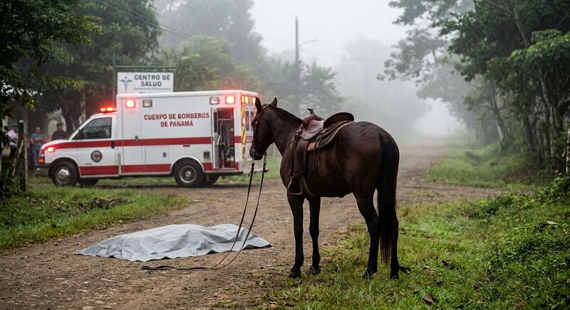 Adulto mayor pierde la vida luego de caer de un caballo en La Concepción