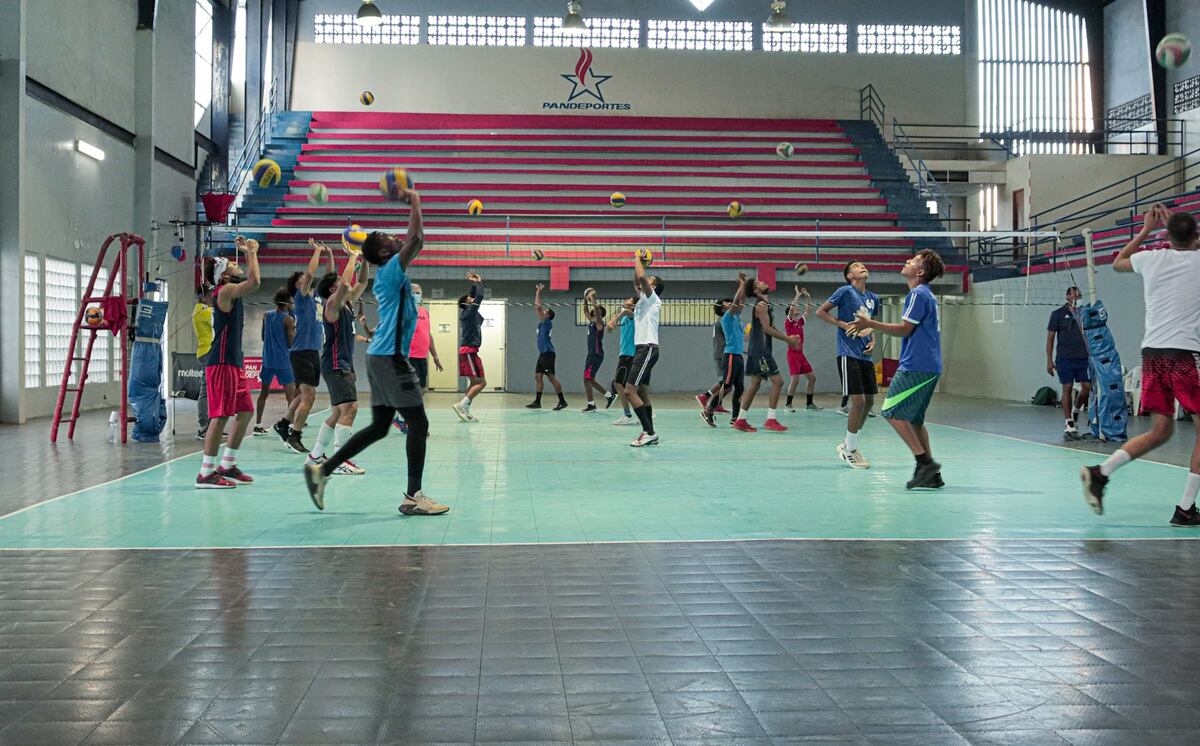 Se busca armar una Selección de Voleibol con jugadores de todo el país